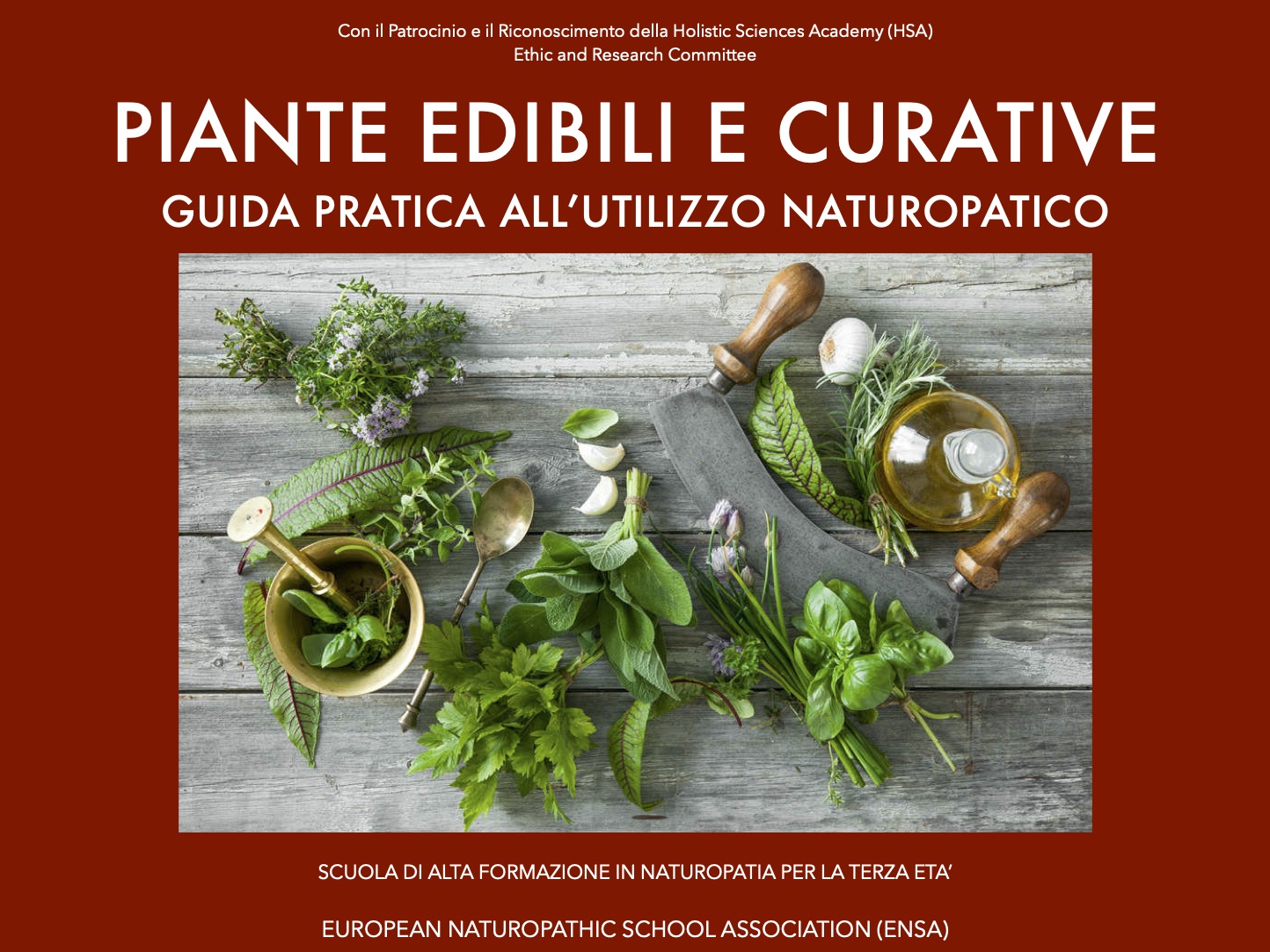 Piante edibili e curative